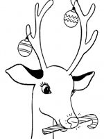 Rudolph-1